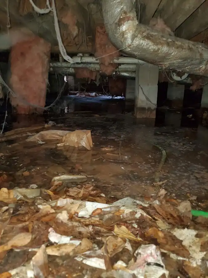Crawl space flood assessment for Leak Detection & Repair in Orcutt